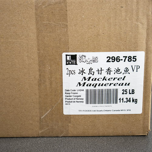 Black_Tie_Mackerel_296785_04